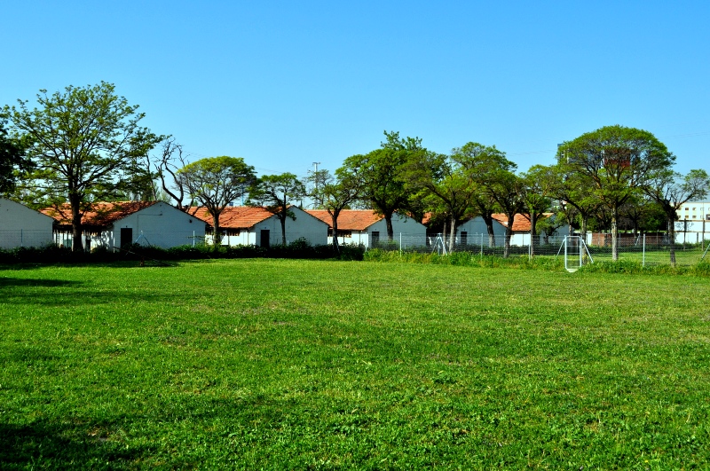 Residencia canina y felina Villamascota