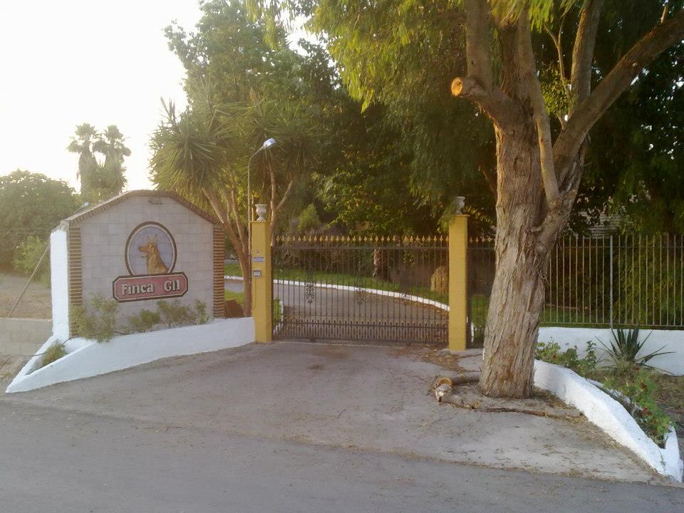 Residencia canina y felina Finca Gil