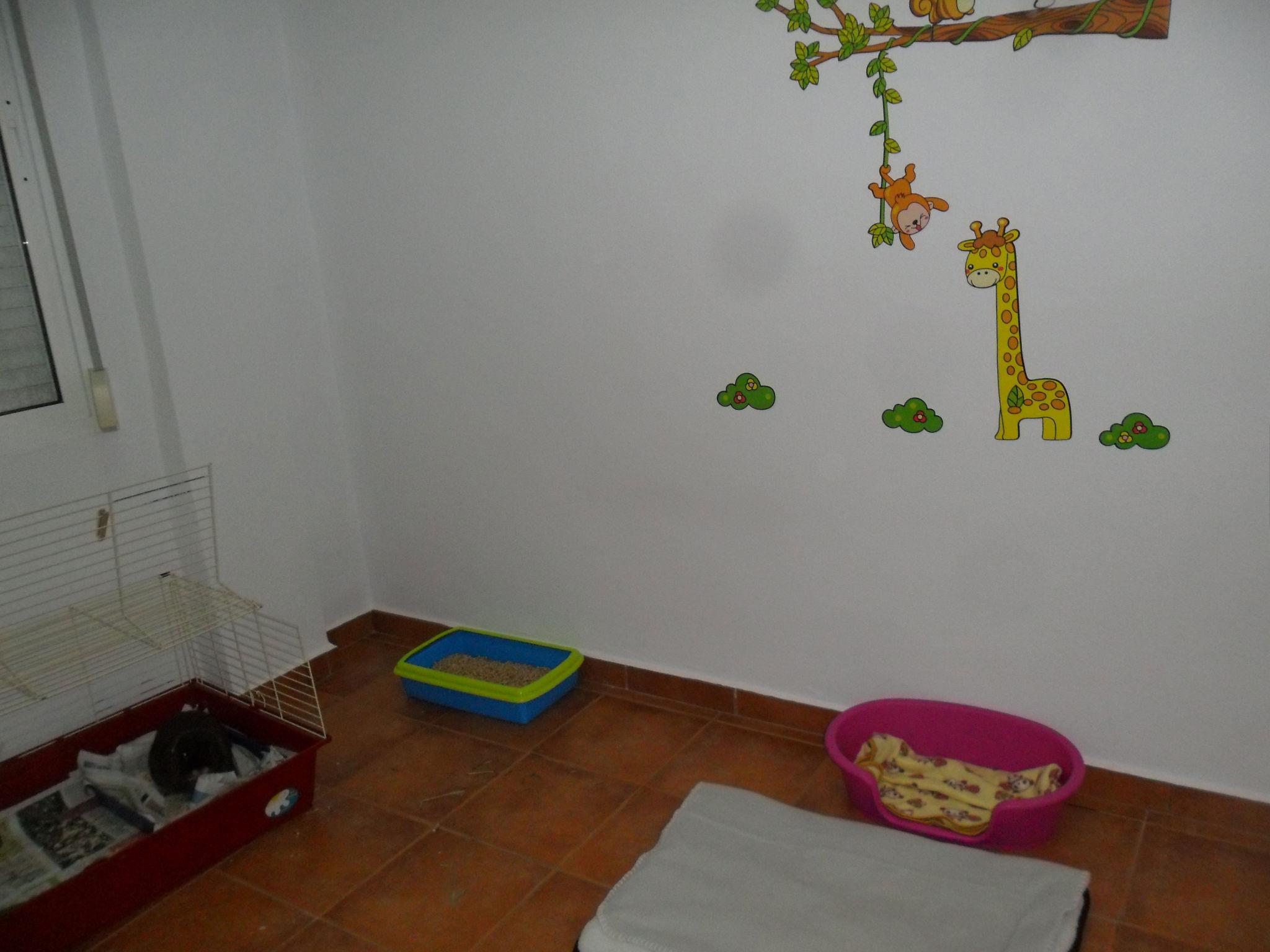 Foto de Raza hotel