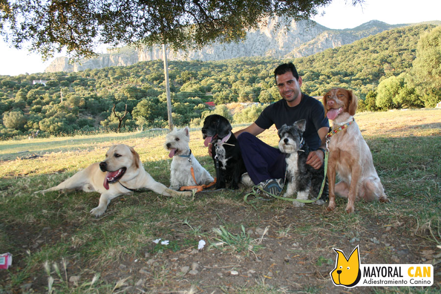 Residencia canina y felina Mayoral