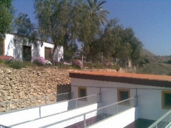 Residencia canina y felina Animal Hotel