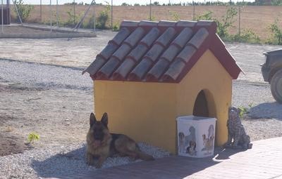 Residencia canina y felina Costa de la luz