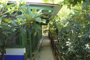 Residencia canina y felina Los can tuesos