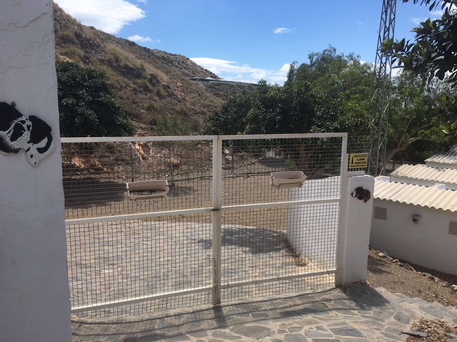 Foto de Damacan