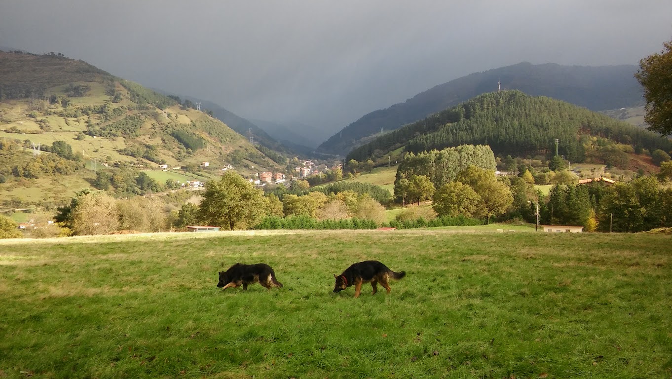 Foto de Kadagua