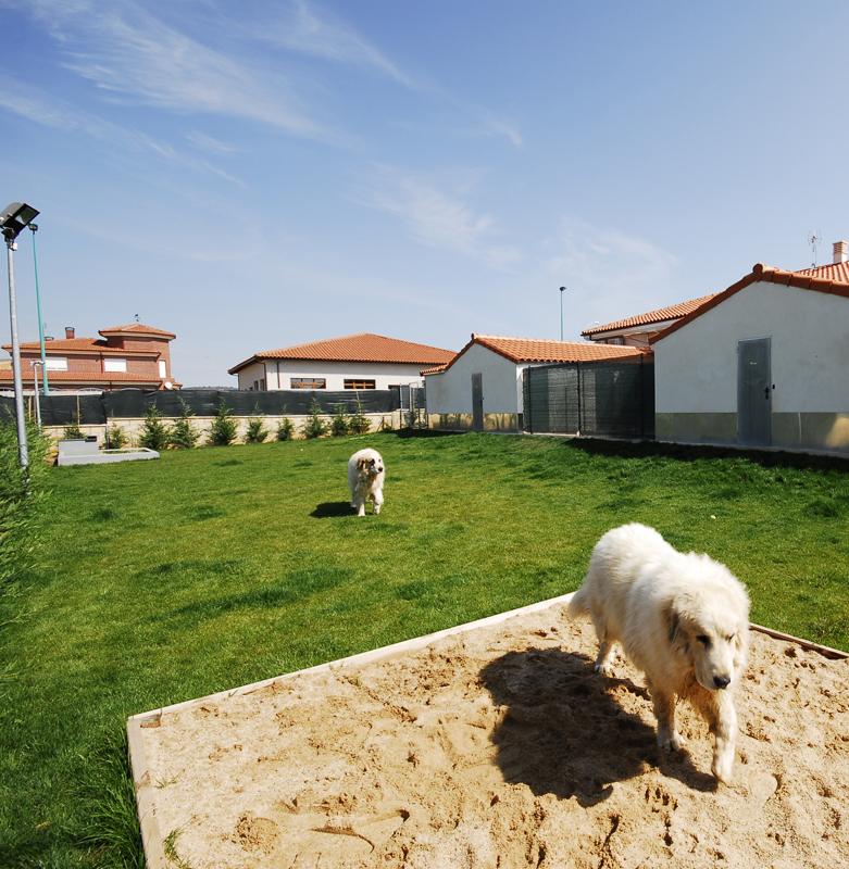 Foto de Club veterinario la legua