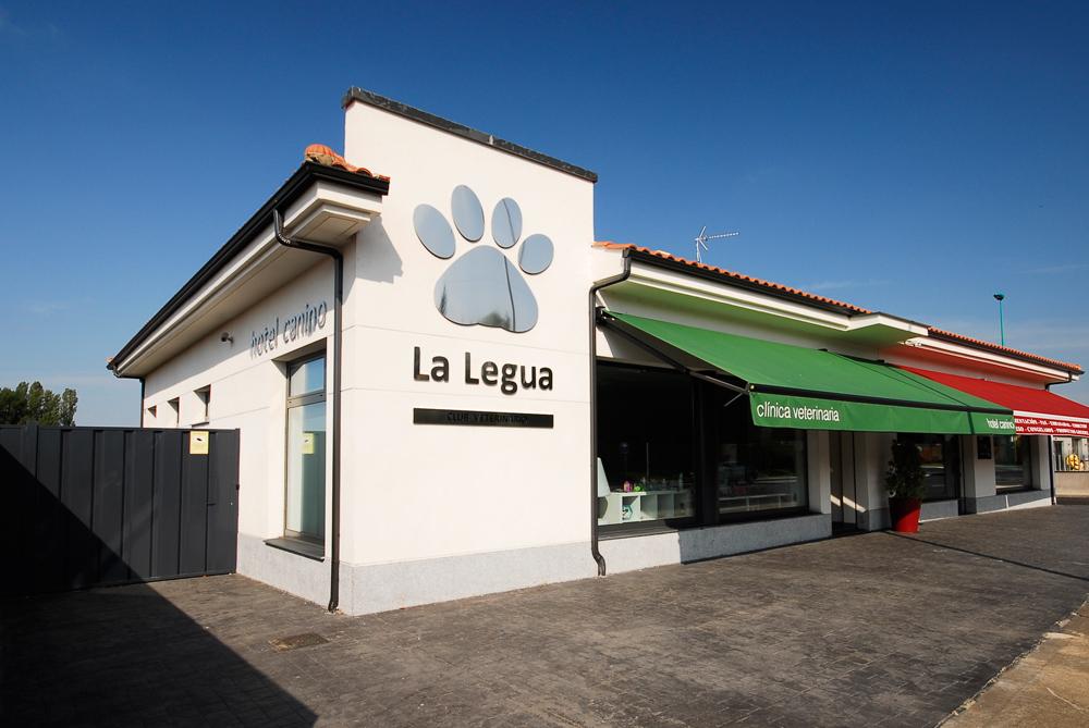 Residencia canina Club veterinario la legua