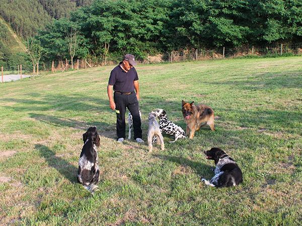 Residencia canina Gandarilla