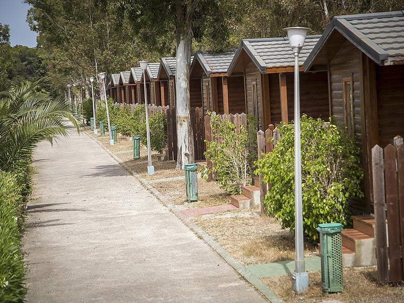Residencia canina y felina Devesa Gardens