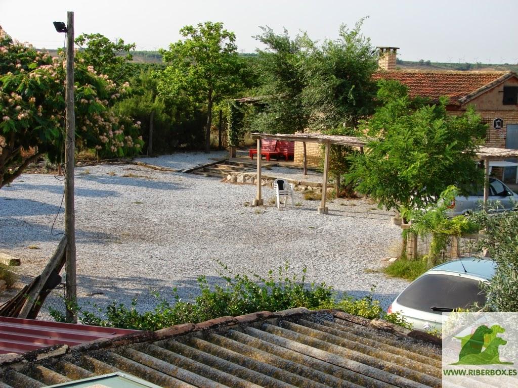 Residencia canina y felina Riberbox