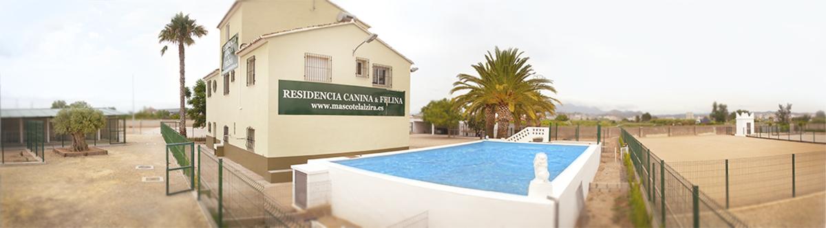 Residencia canina y felina Mascotel Valencia