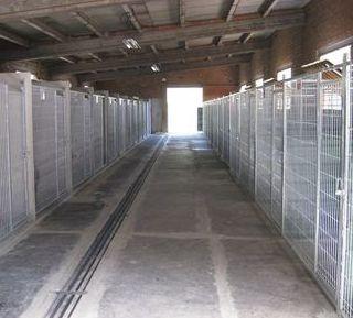 Residencia canina Jag-gos