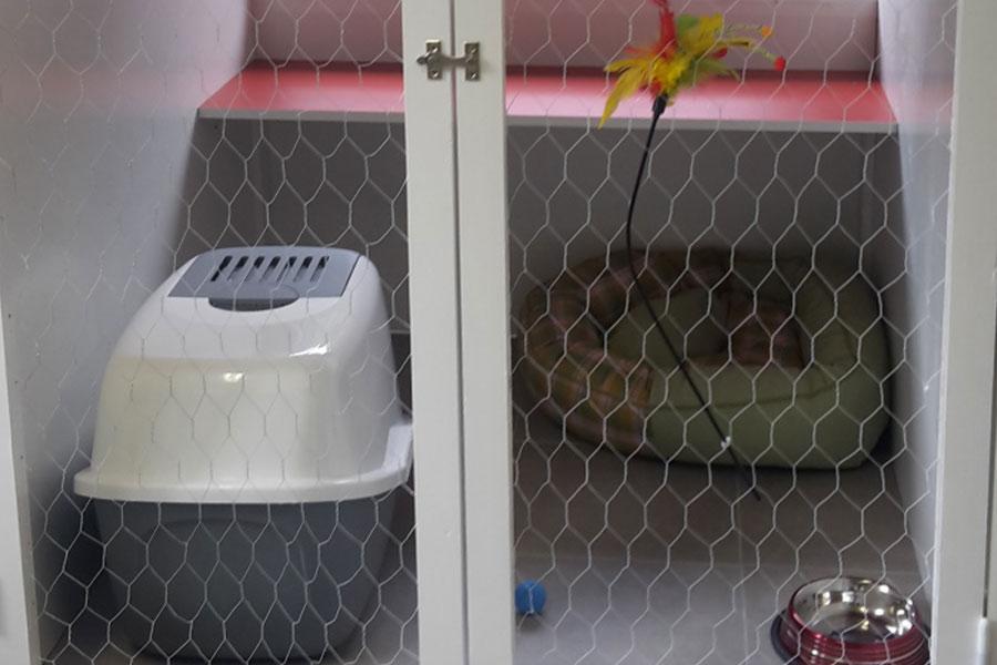 Residencia canina y felina Erreka