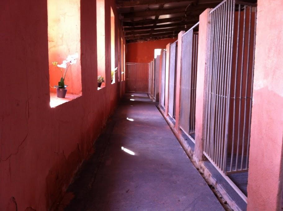 Residencia canina Ischadia