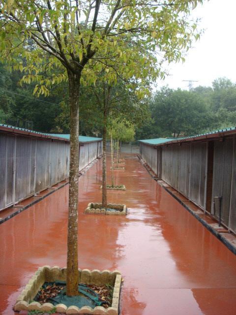 Foto de Aiartza