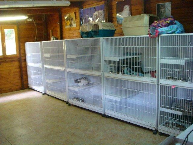 Foto de Aiartza