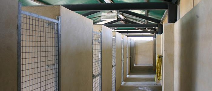 Residencia canina y felina Cenla