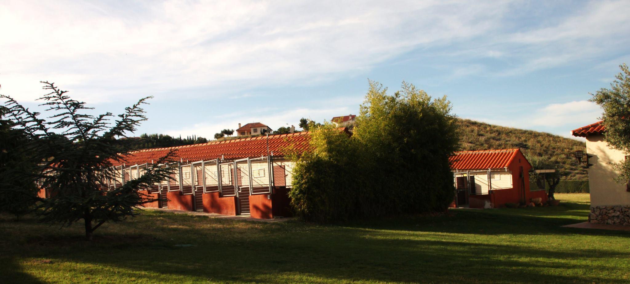 Residencia canina De termes
