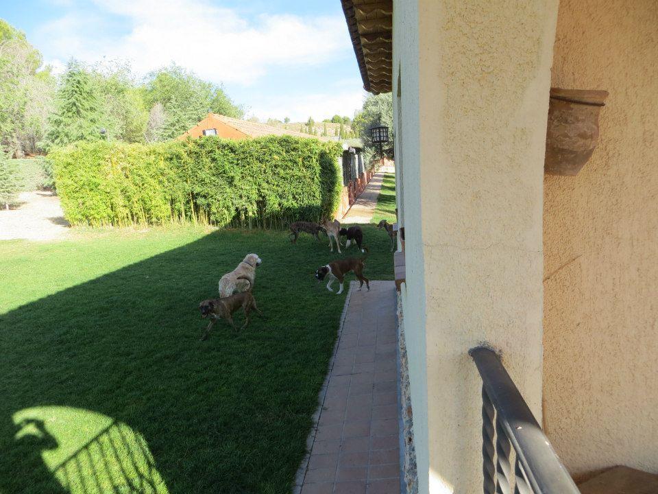 Foto de De termes