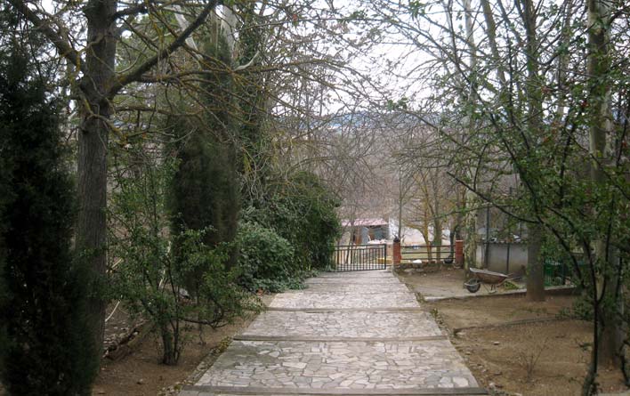 Residencia canina y felina CH Victoria