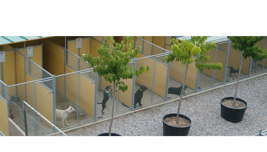 Residencia canina y felina Centre Caní Vallgorguina