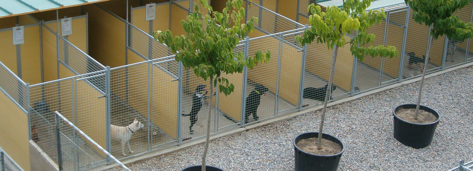 Residencia canina y felina Canina i Felina Can Clarens