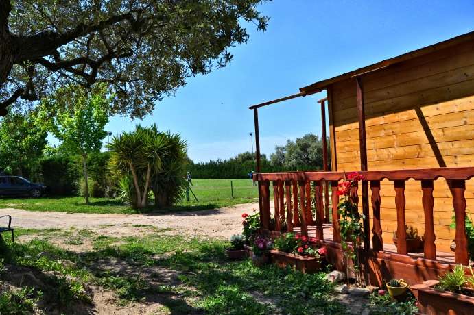 Residencia canina Can Fauna