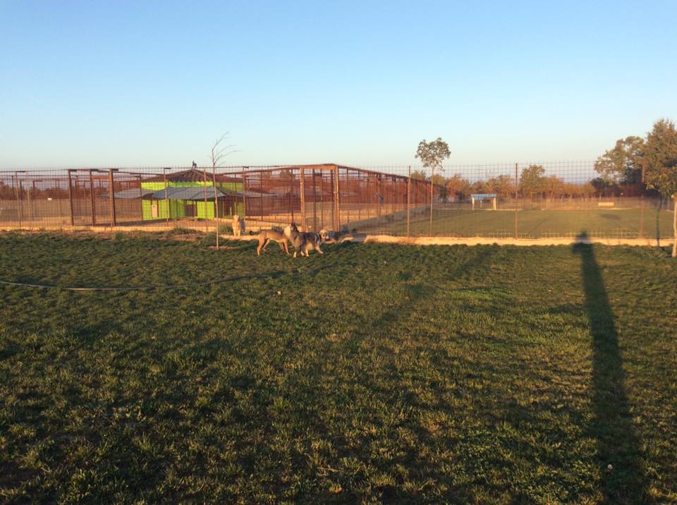 Residencia canina Rec