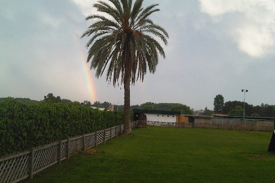 Residencia canina Rolke