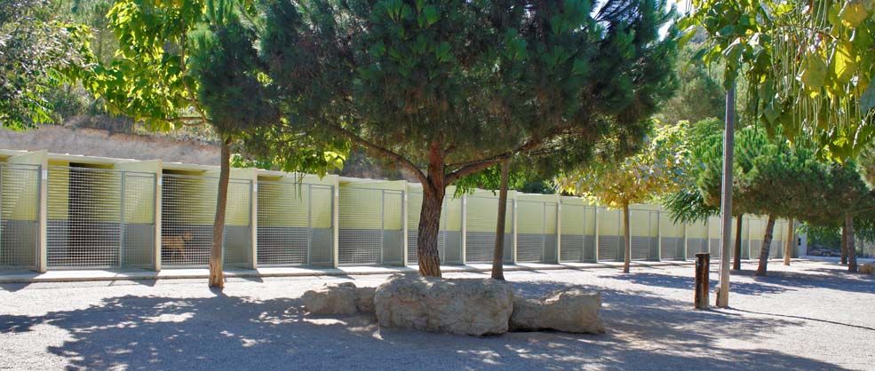 Residencia canina El Gos Blanc