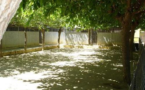 Residencia canina y felina Hostal mascotas