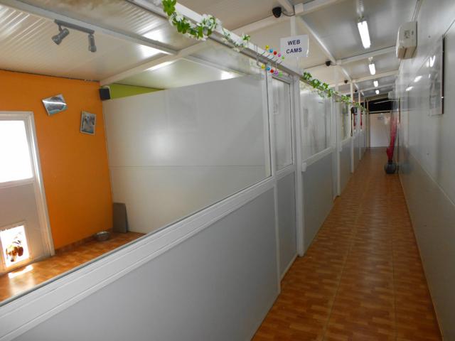 Residencia canina y felina Hotel Caní El Vila