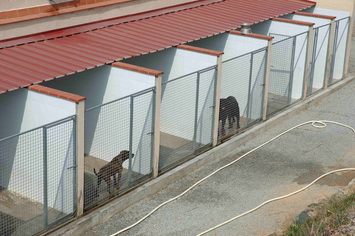 Foto de Resort Canino Can Janè