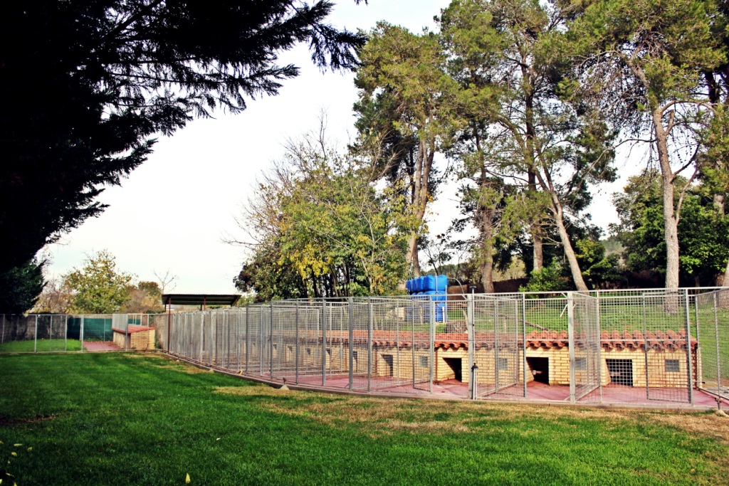 Foto de Resort Canino Can Janè