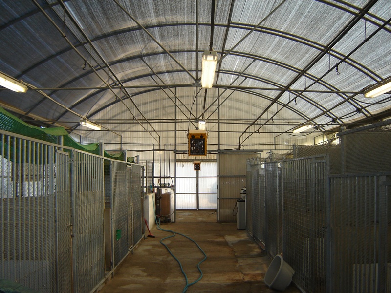 Residencia canina y felina Kimi