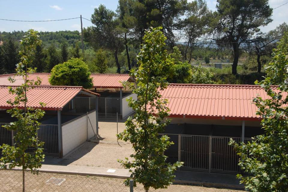 Residencia canina y felina Hospital Veterinari Catalunya Odena