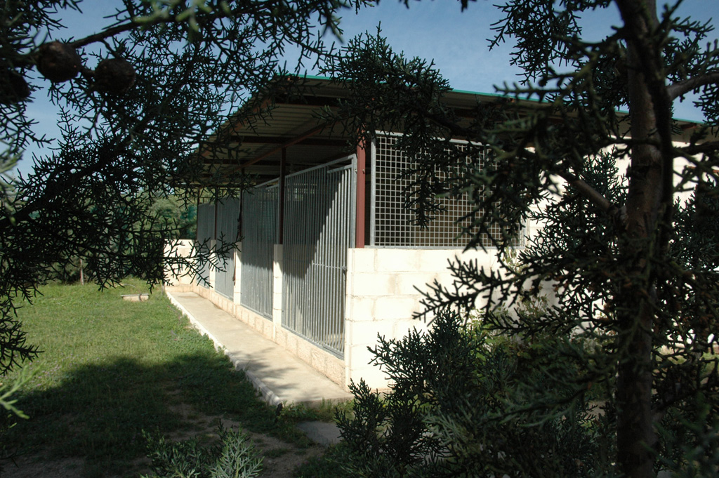 Residencia canina y felina Educaza