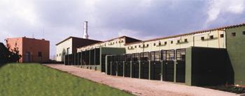 Residencia canina y felina La Casa de Noe