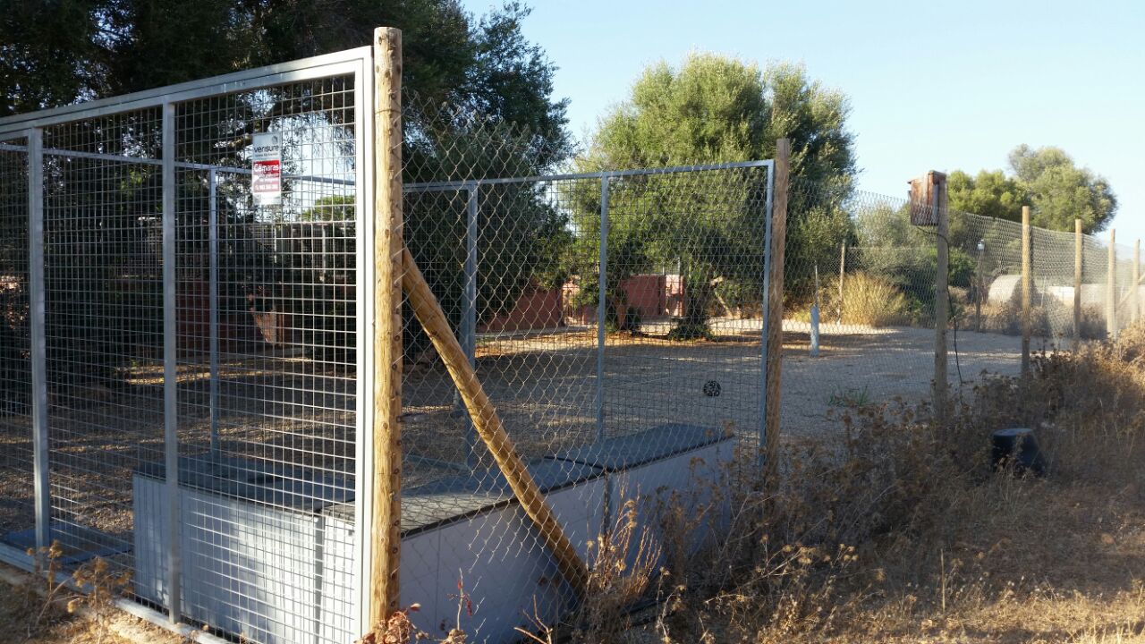 Residencia canina y felina Exotics clinica veterinaria Mallorca