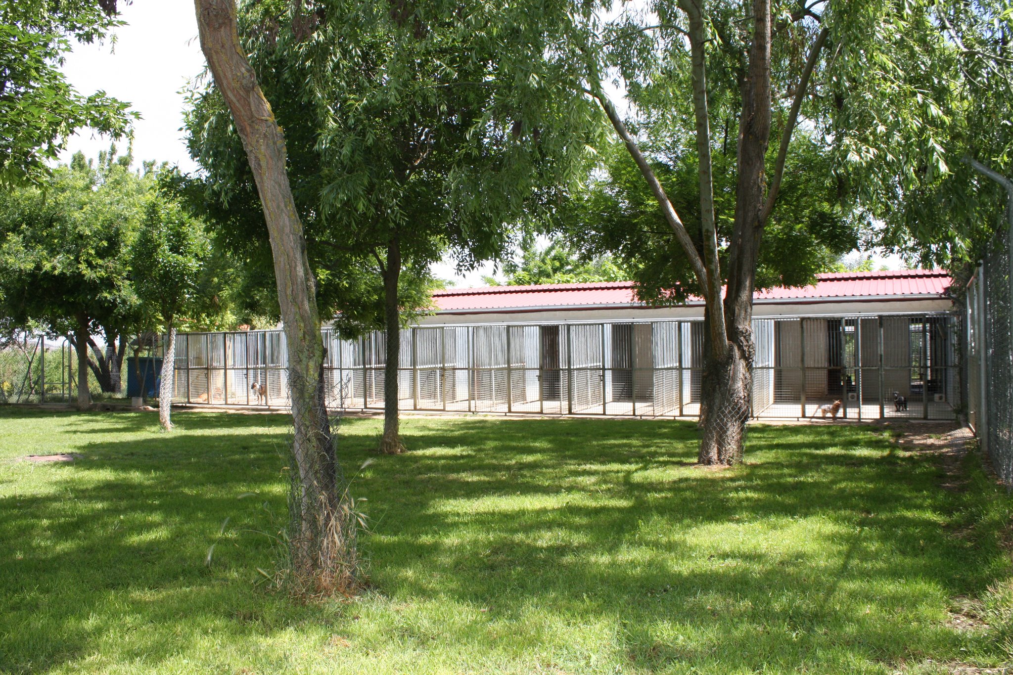 Residencia canina y felina Kabluna