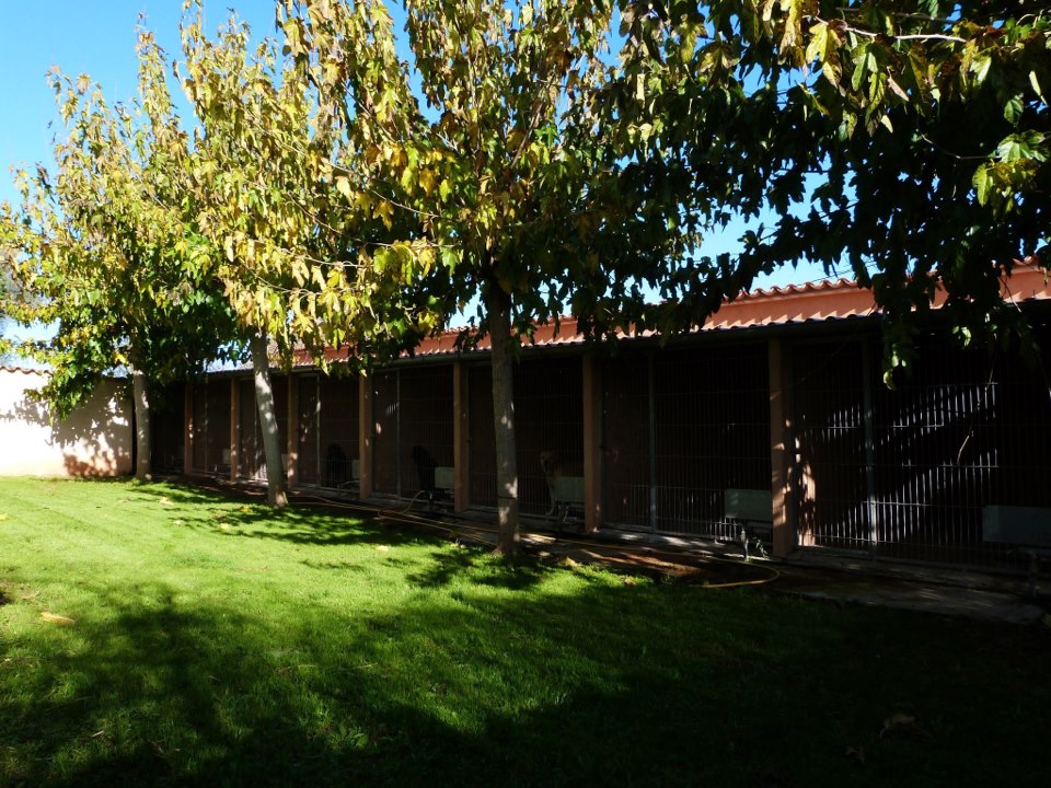 Residencia canina Cavalcan