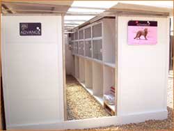 Residencia canina y felina AliDog