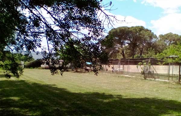 Foto de La Pastorel.la