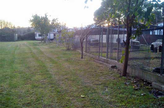 Foto de La Pastorel.la
