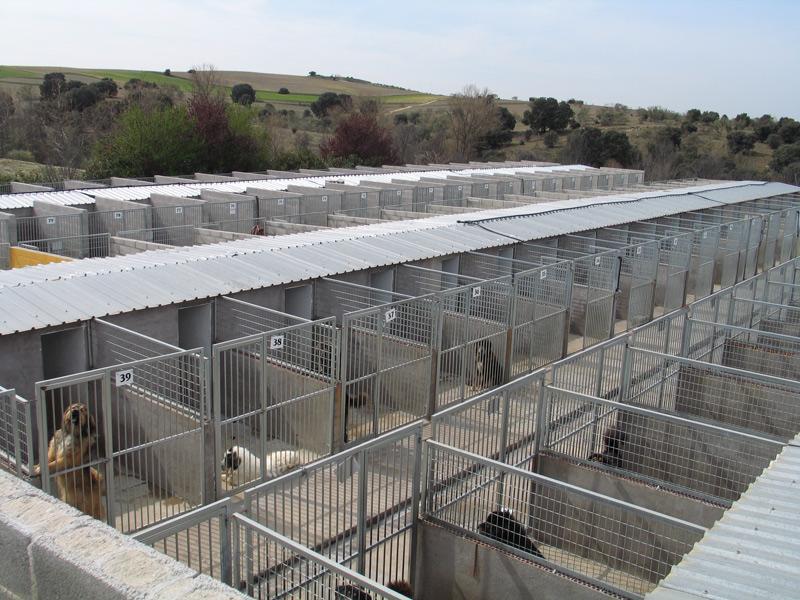 Residencia canina y felina Odoncan