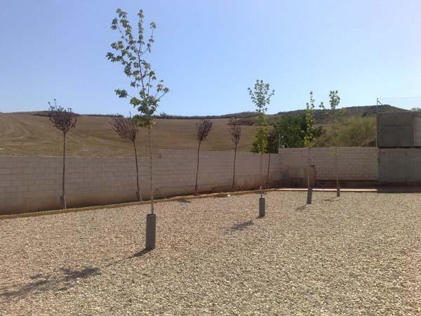 Residencia canina y felina Vega del Henares