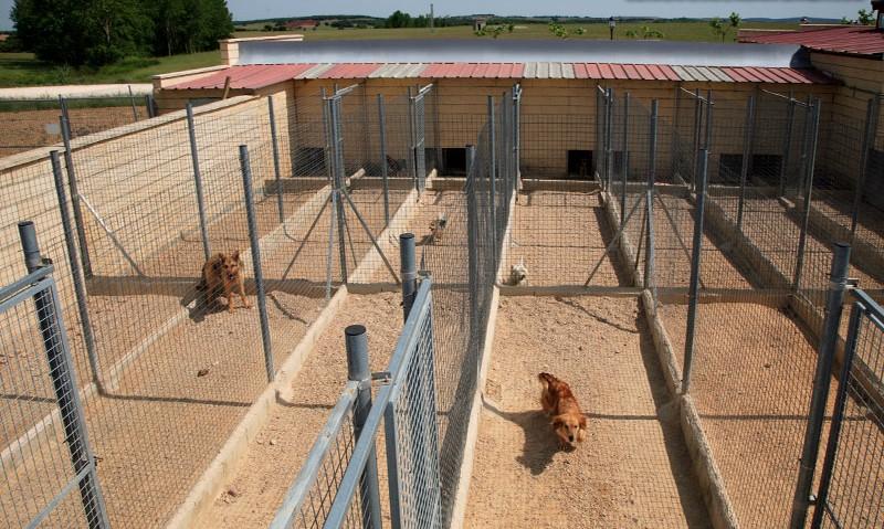 Residencia canina y felina Arlanza