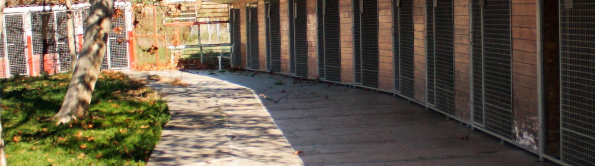 Residencia canina y felina Can Hotel