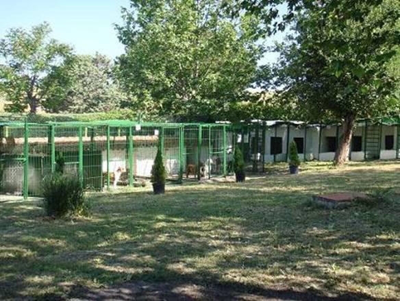 Residencia canina y felina Villa Liberty