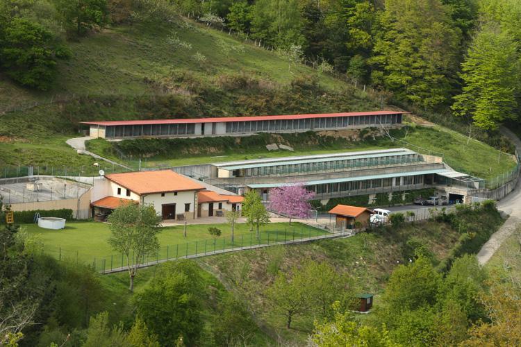 Residencia canina y felina Urdaneta
